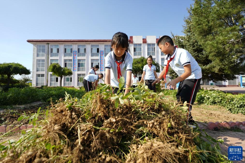 财富访首页